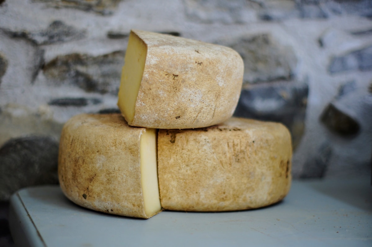 Can You Freeze Cheese?