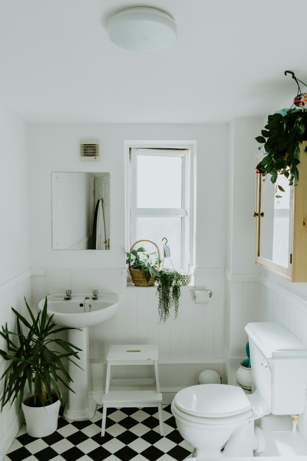 Best Mold and Mildew Removers for Bathrooms (2026)